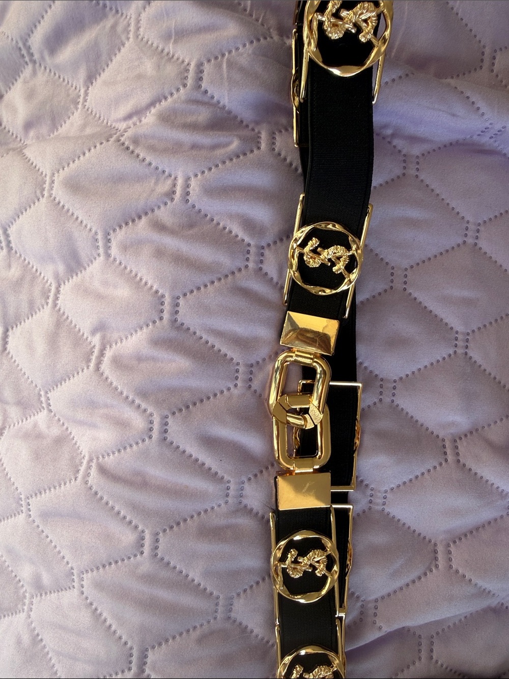Stretch Gold Accented Black Women’s Fashion Belt